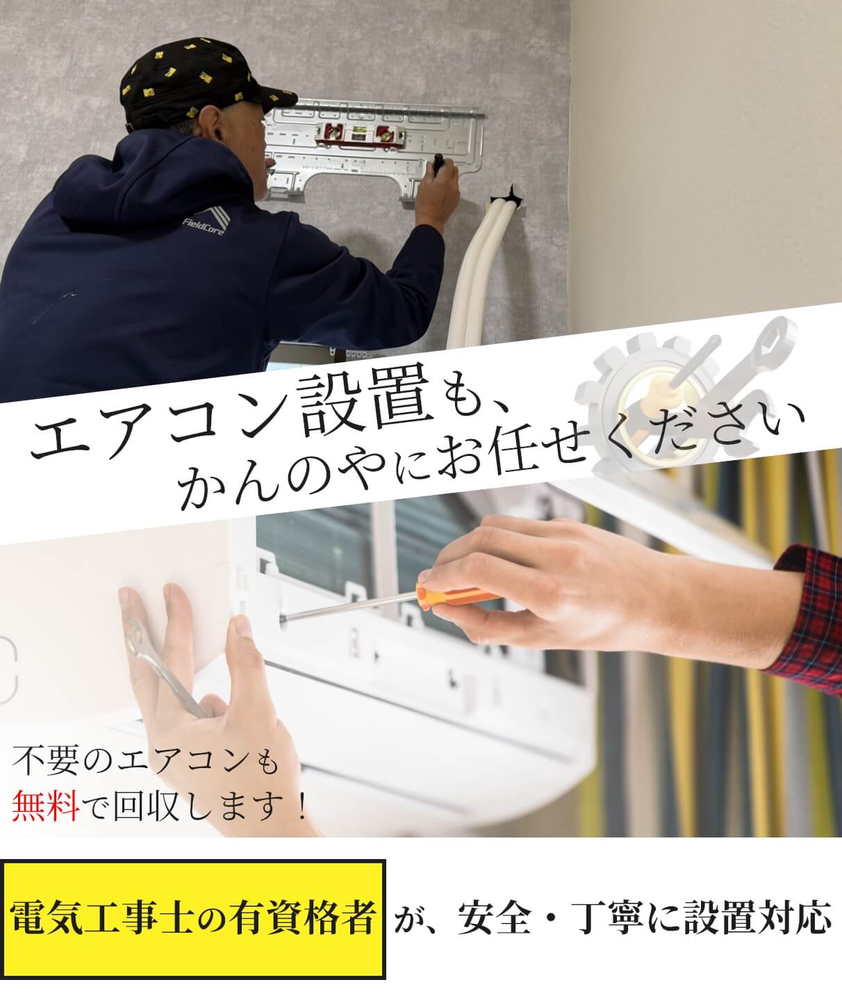 キャンペーン情報